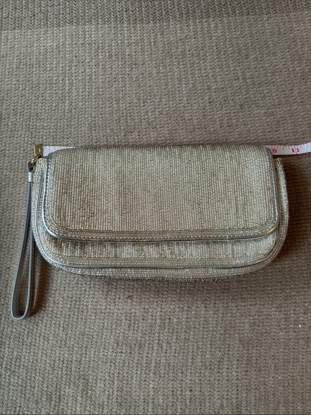 Sparkling Silver Wristlet Clutch